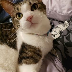 Meet your Posher, Amber